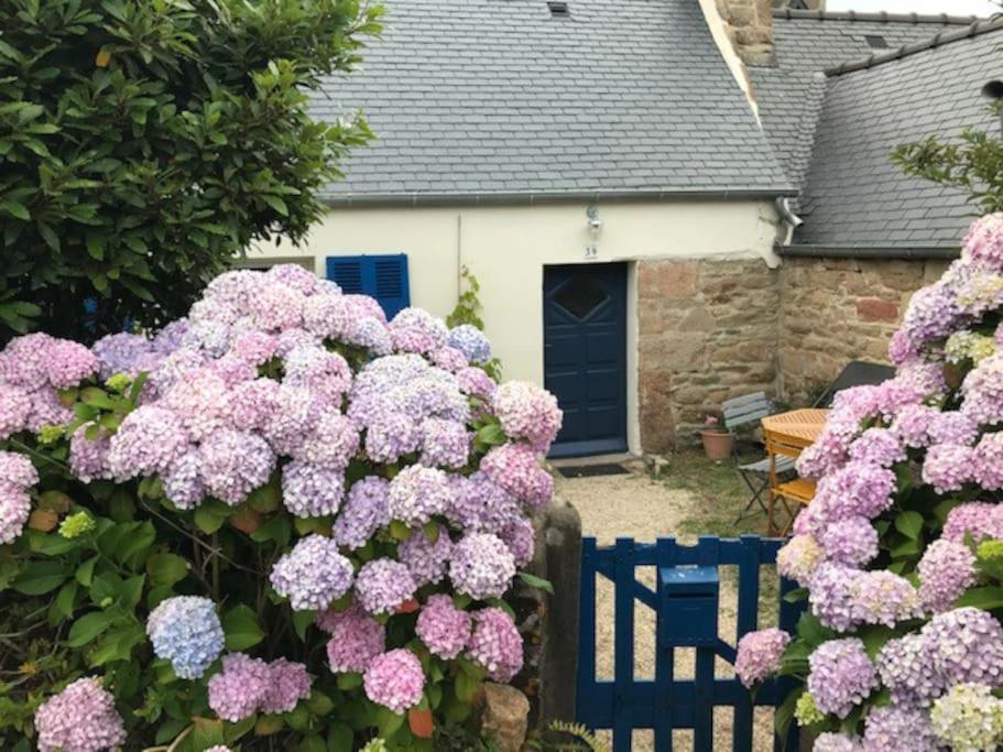 Charmante Maison De Pecheurs Trébeurden Extérieur photo